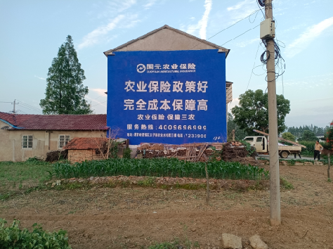 绵竹墙体广告为何受追捧？